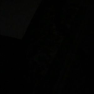 Meet your Posher, Wanda